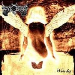 Black Bleeding : Worship